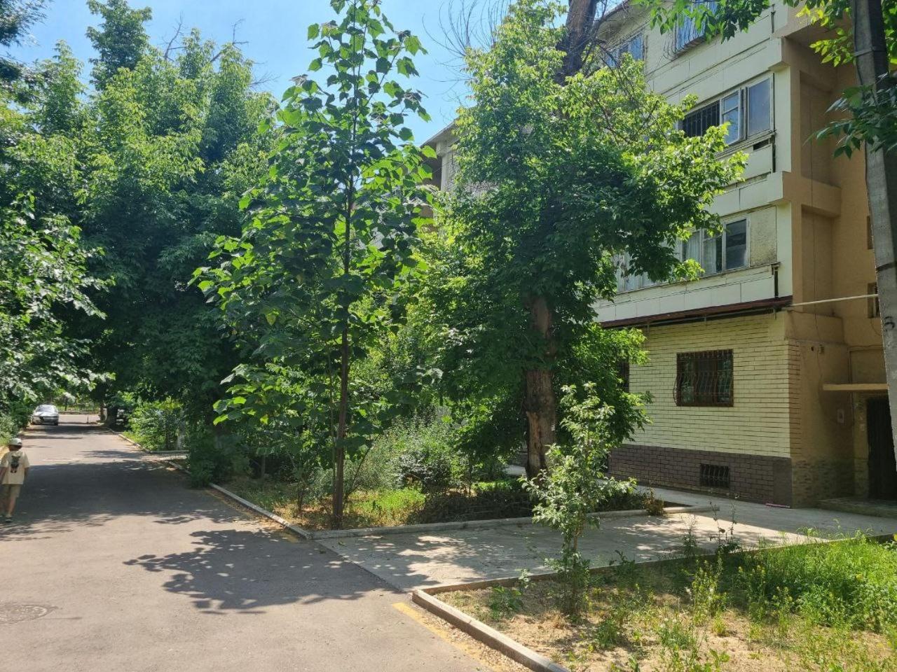 Роскошная Квартира Для Гостей Tashkent Ngoại thất bức ảnh